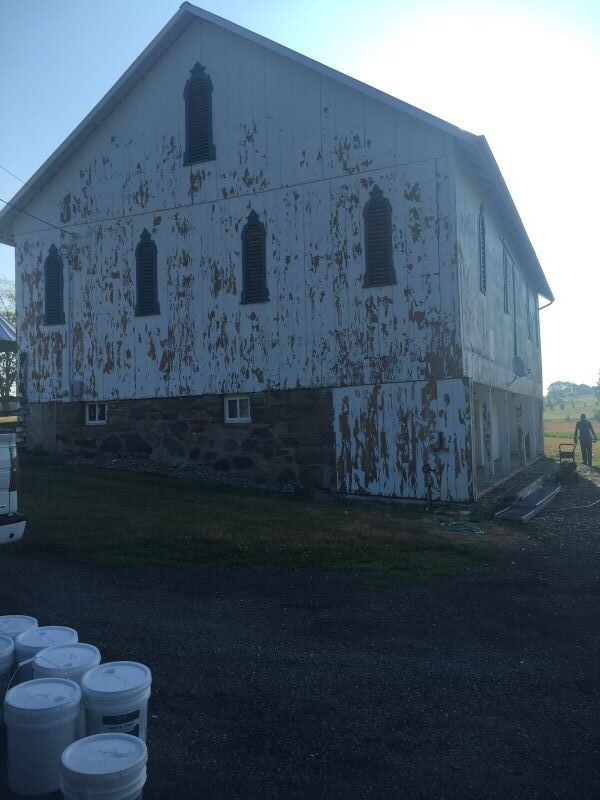Picture a barn with fading white paint.